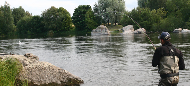 Jokikalastusta Kymijoella